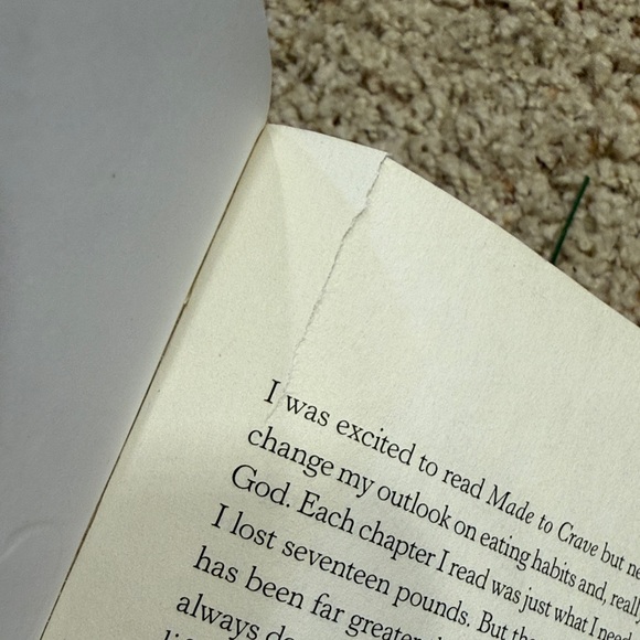 Made to Crave by Lysa TerKeurst - paperback, used - Picture 12 of 12